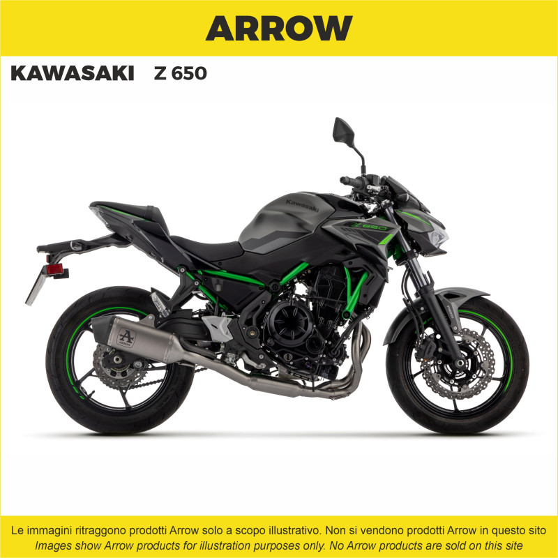 Kawasaki Z650 2025